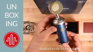 Blue Bluebird | Unboxing & Review Powered by You
