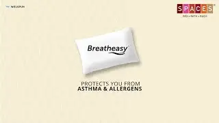 Breatheasy - India&rsquo;s 1st Certified Asthma & Allergy Friendly Pillow by SPACES