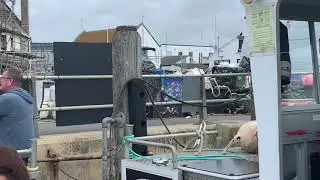 Ghost Ship tour 2020