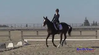 304D Alexa Friesel on Sheer Theatrics JR Beginner Novice Dressage Woodside October 2017