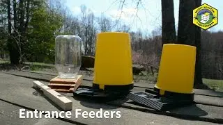 Entrance Feeders