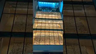 Biggest BOOK 📕 WALL in the world #shorts #record #books #insane