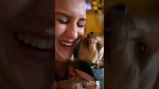 The Birthday Surprise Luana Will Never Forget 🎂🐶💖#pets #puppy #petlover #dogmom