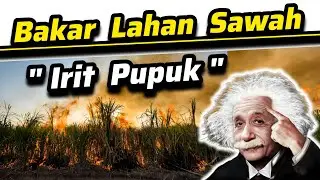 ♻️ Petani Bisa Irit Hemat Pupuk Kalium, Magnesium, Kalsium Saat Bakar Lahan Pertanian Pasca Panen ♻️