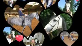 I Love Sonet