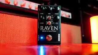 RAVEN - ALTO ganho e definição ABSURDA no High Gain da Tone Ink | Tone Hacks #55