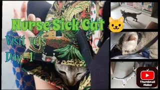 My Sick Cat, nurse || Visit Vet First time First Day || First Time Vet Visit vlog, Day -1#veterinary