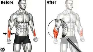 Do You Want Veiny, Powerful Forearms? Then Do These.