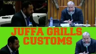Гарри Джуффа допрашивает таможню Папуа &mdash; Новой Гвинеи о контрабанде золота и синдикатах в аэропортах