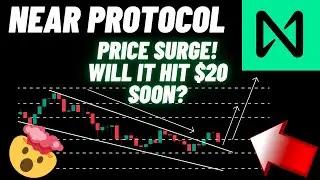 NEAR Protocol Price Surge: Will It Hit $20 Soon? | NEAR Crypto News