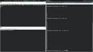 tail | Linux | Command Line