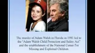 Denise Amber Lee Case Study