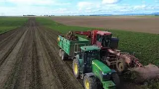 Repná Kampaň 2025|Matrot M4|PD Nižná|2x John Deere 