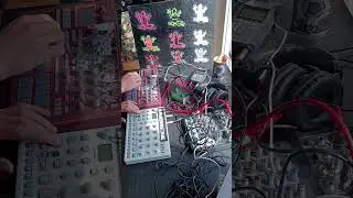 KORG ELECTRIBE 2s vs ELEKTRON MODEL CYCLES #liveset #techno #tekno #mentalcore #electronicmusic #dj