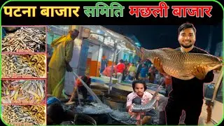 PATNA और BIHAR का सबसे बड़ा मछली बाजार। Biggest Wholesale Fish Market India ( Bihar )