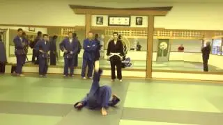 Kodenkan Danzan Ryu. Hombu Dojo Shinkodenkai.