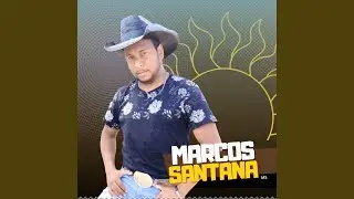 Tal Ficante
