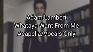 Adam Lambert - Whataya Want From Me (Vocals Only Acapella)