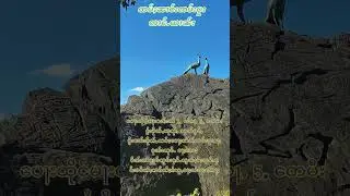 Nang sam buu 