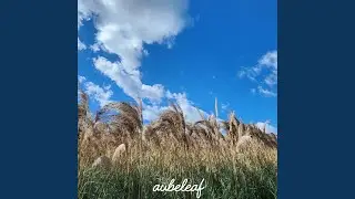 Road Trip Memories