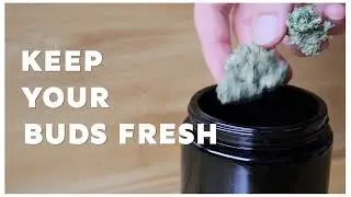 Cannabis Curing Jar | Miron Glass By MyPharmJar | Short Promo Clip
