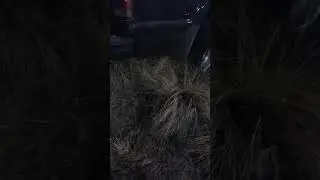 Dad revving the 6.0