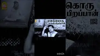 MGR song in movie tamil#shorts#shortsfeed#mgr#songs
