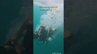 The scariest part of Scuba diving 🤿 | Scuba diving at Tribe Gate #underwateradventure #shorts