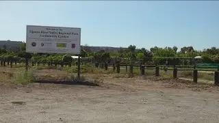 Community garden forced to close due to health concerns from Tijuana River Valley sewage crisis