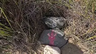 Посетили дюны , PasitoBlanco, хотелось воды, а тут голые мужики