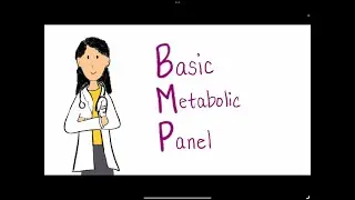 Labs   BMP   Basic Metabolic Panel