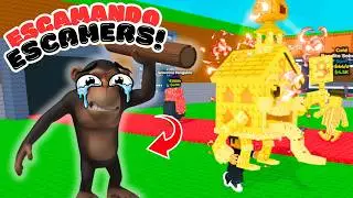 SCAMMANDO SCAMMERS NO ROUBE UM BRAINROT!🔥