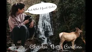 Finding a Waterfall in Cherokee, NC!