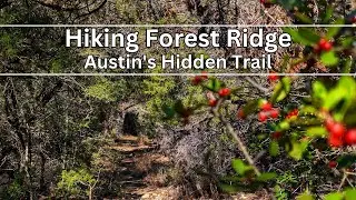 Bull Creek's Best Kept Secret: Forest Ridge Trail