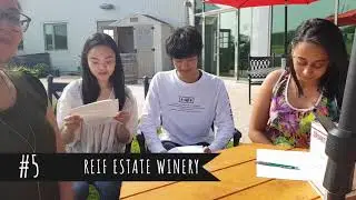 Top 10 Wineries in the Niagara Region