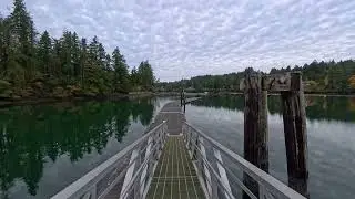 Jarrell State Cove Park Walk to the Long Dock October 23, 2025