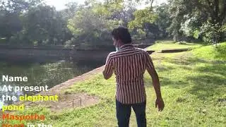 Eth pokuna_(Elephant pond)  elephant pond ath pokuna  eth pokuna #yasanthafreemindmusic