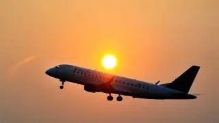 Were Airlines Blindsided By Trump Travel Ban?