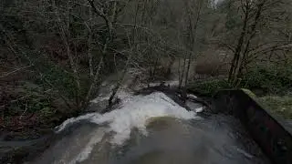 Tumwater Falls 2025