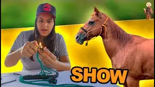 Finalizando Cabresto 7 nós para seu Cavalo