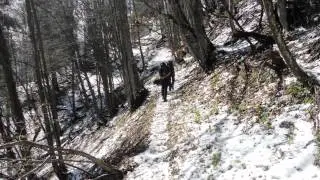 Val d'Astico:   Montepiano/ R&egrave;stele/ Boscoscuro/ Ponteposta