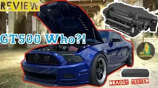 Supercharged 2014 Mustang GT Review | Draggy Confirms That This Coyote Is LETHAL..