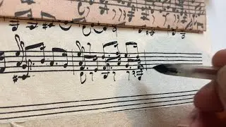 Bach Violin Partia BWV 1004 Calligraphy