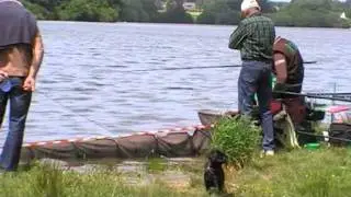 Challenge RIVE à Ploërmel
