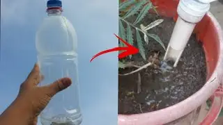 1DIY invention/you easy to  make at home/plant water dropper