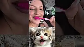 viral video crazy cat cute cat #cat #like #subscribe