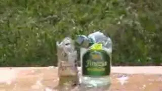 CP99 Compact - shooting to bottles