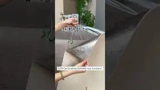 Stop Cat Scratching Instantly with This Easy Trick