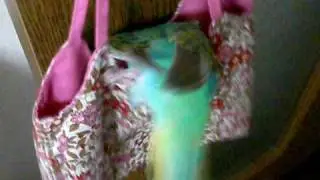 IMGP0245
