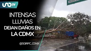 &iexcl;Con cuidado! Reportan ca&iacute;da de granizo en varias alcald&iacute;as de la CDMX; hay afectaciones